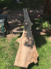 English Walnut
